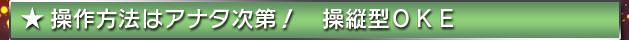 ★操作方法はアナタ次第！　操縦型