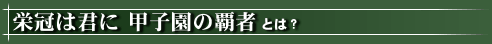 栄冠は君に 甲子園の覇者とは？