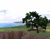 BIG WIND