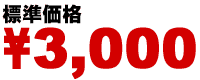 標準価格￥3000