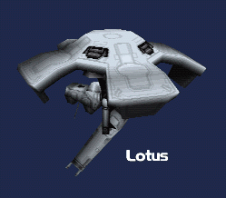 Lotus